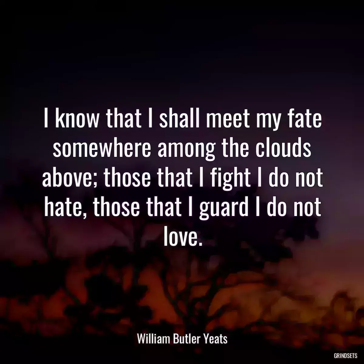 I know that I shall meet my fate somewhere among the clouds above; those that I fight I do not hate, those that I guard I do not love.