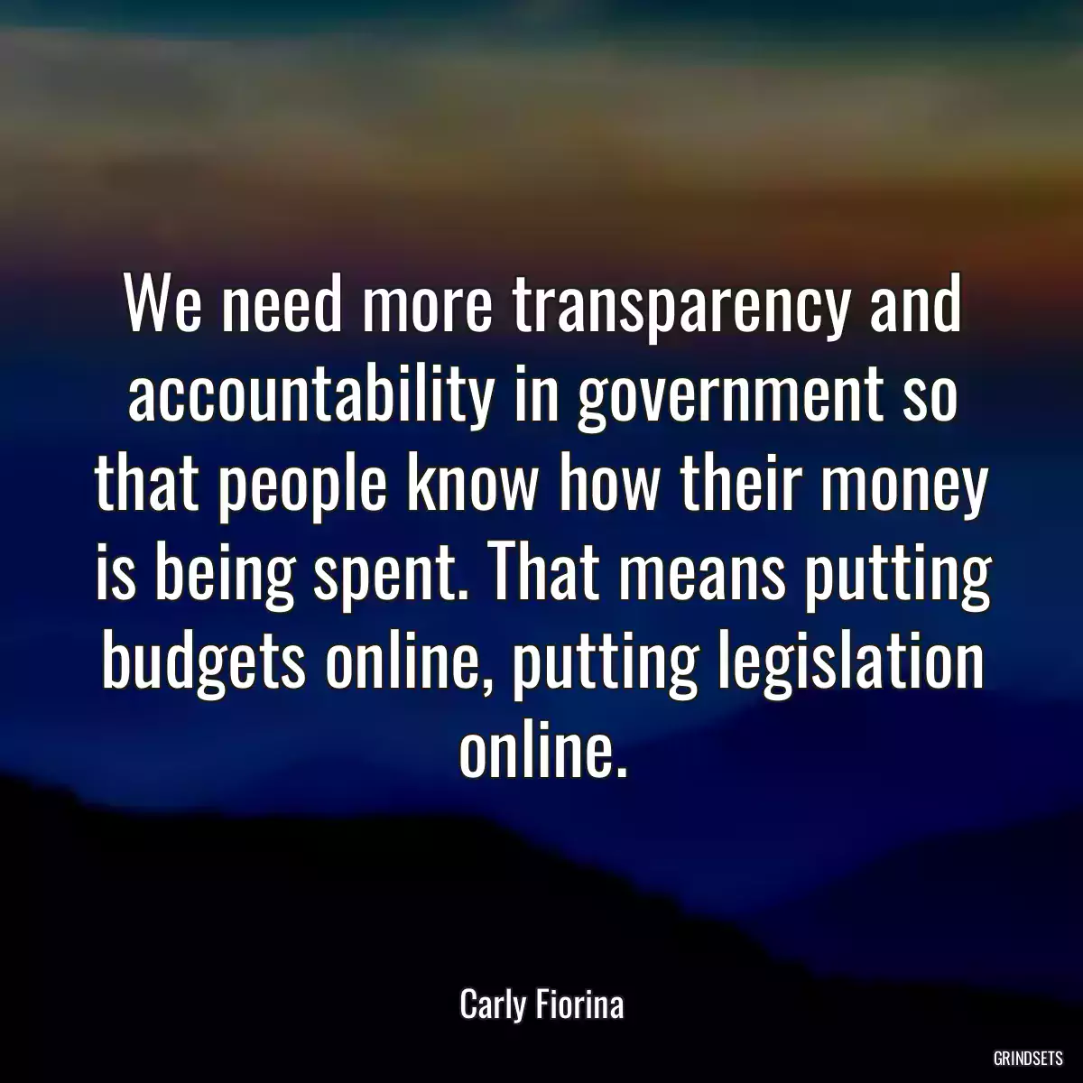 We need more transparency and accountability in government so that people know how their money is being spent. That means putting budgets online, putting legislation online.