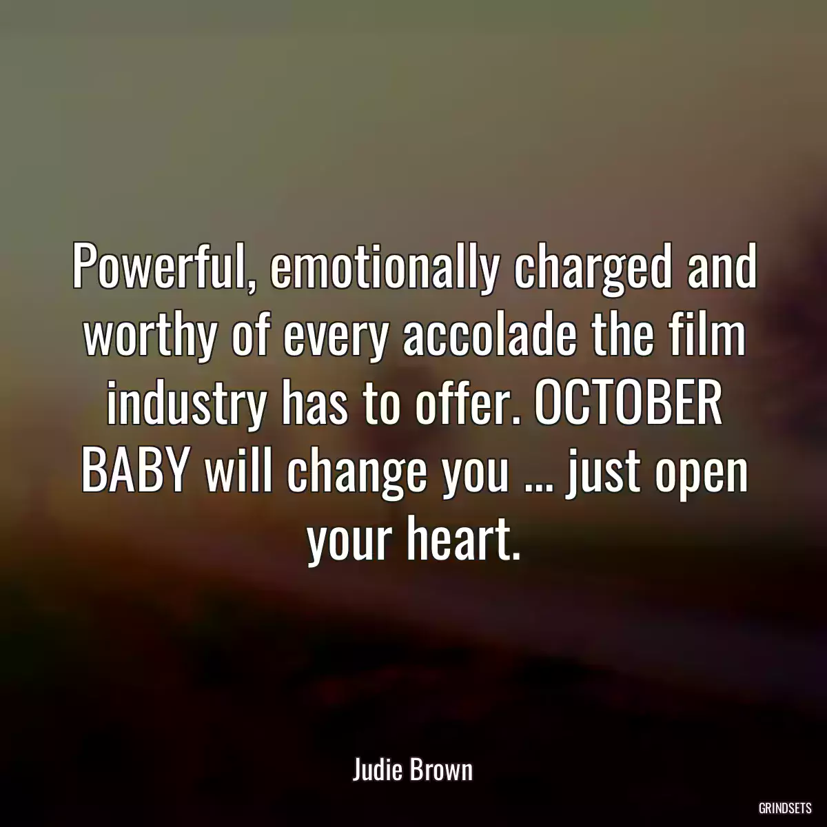 Powerful, emotionally charged and worthy of every accolade the film industry has to offer. OCTOBER BABY will change you ... just open your heart.