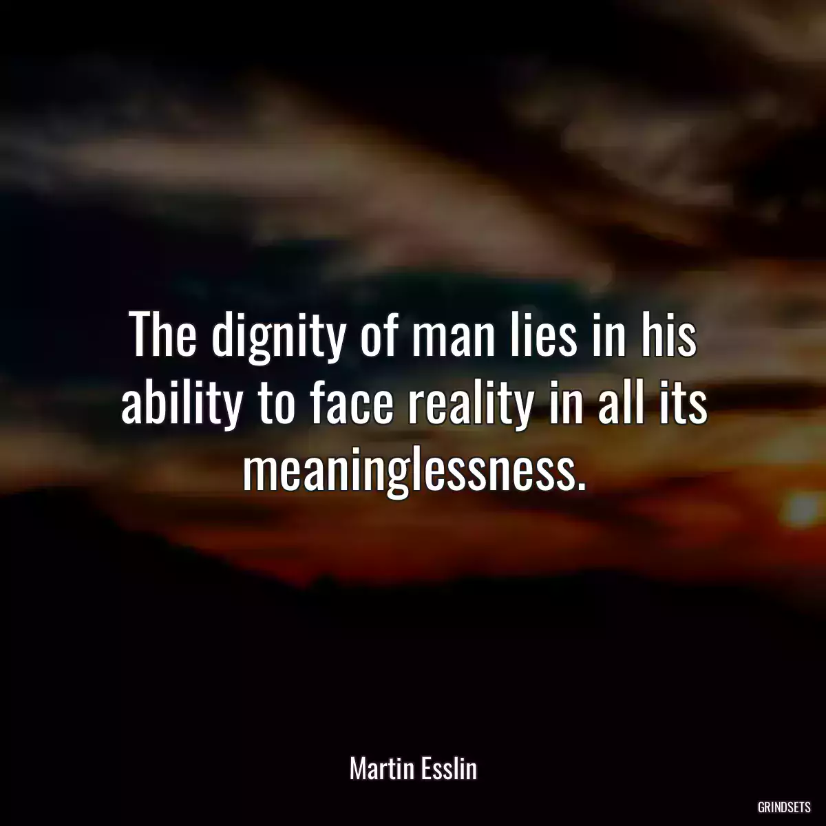 The dignity of man lies in his ability to face reality in all its meaninglessness.