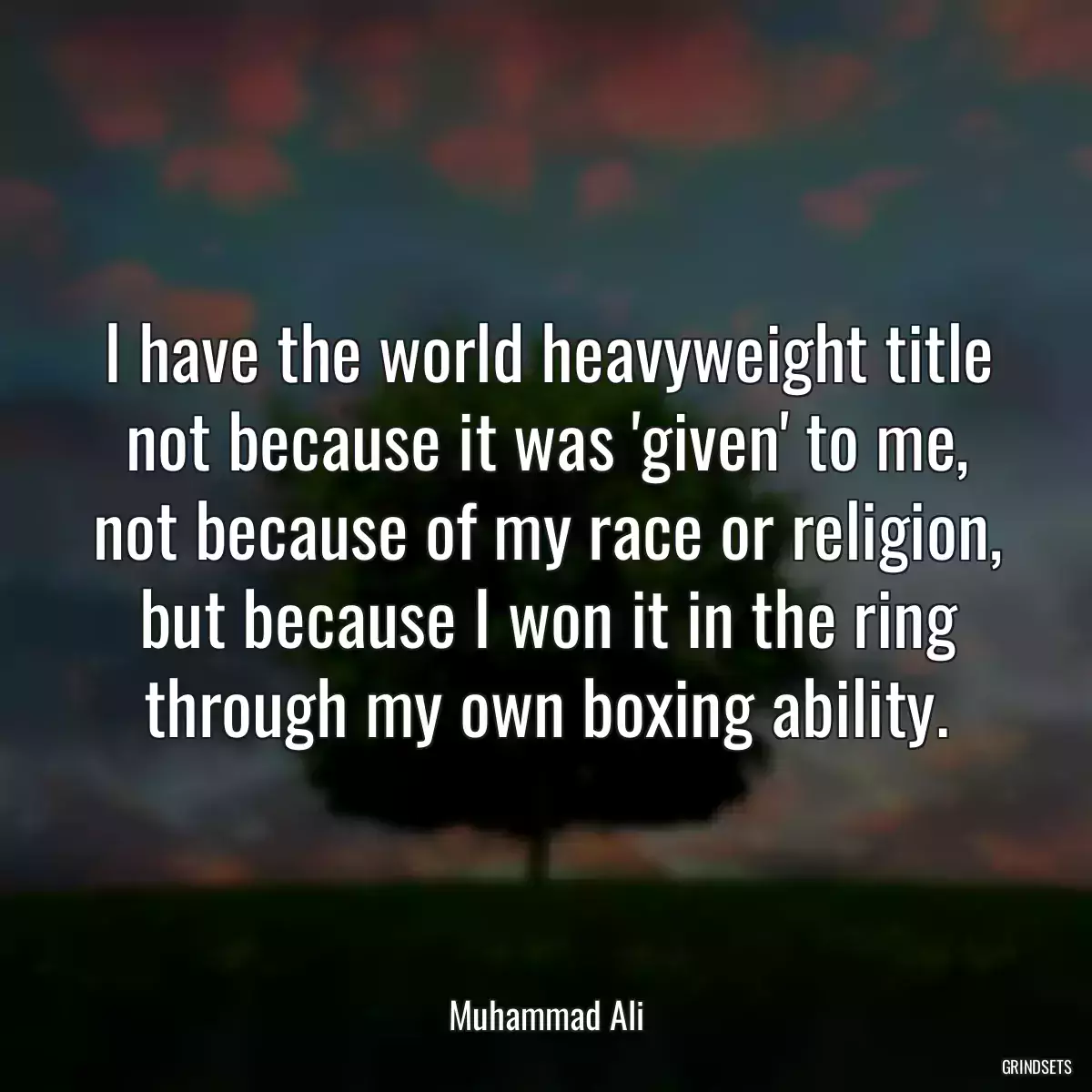 I have the world heavyweight title not because it was \'given\' to me, not because of my race or religion, but because I won it in the ring through my own boxing ability.