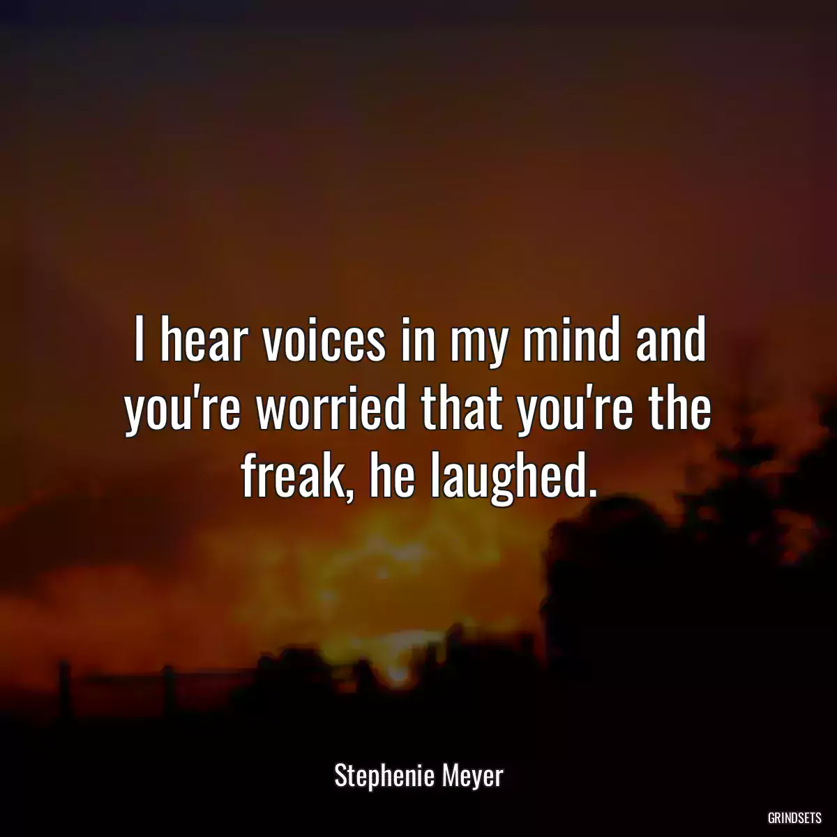 I hear voices in my mind and you\'re worried that you\'re the freak, he laughed.