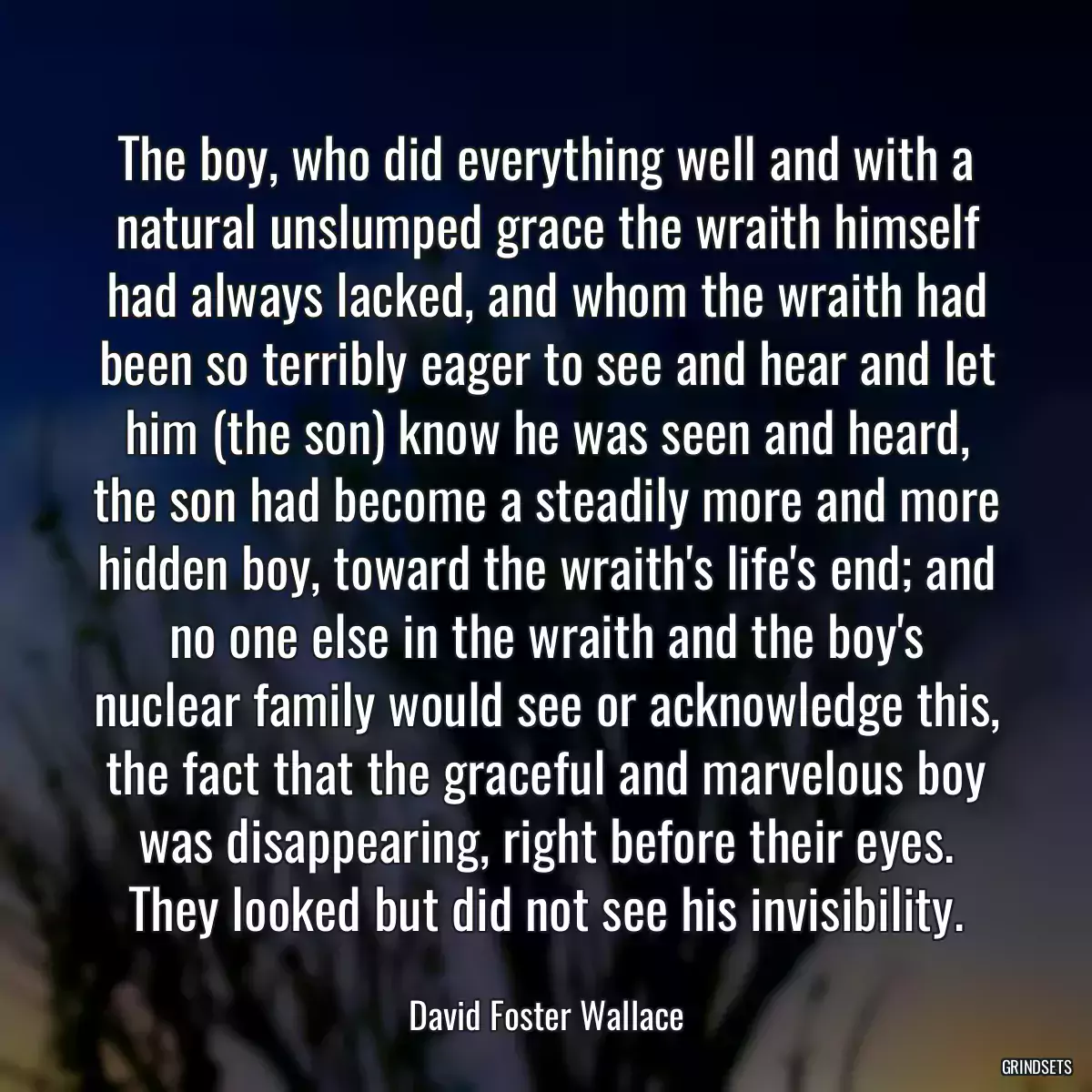 The boy, who did everything well and with a natural unslumped grace the wraith himself had always lacked, and whom the wraith had been so terribly eager to see and hear and let him (the son) know he was seen and heard, the son had become a steadily more and more hidden boy, toward the wraith\'s life\'s end; and no one else in the wraith and the boy\'s nuclear family would see or acknowledge this, the fact that the graceful and marvelous boy was disappearing, right before their eyes. They looked but did not see his invisibility.