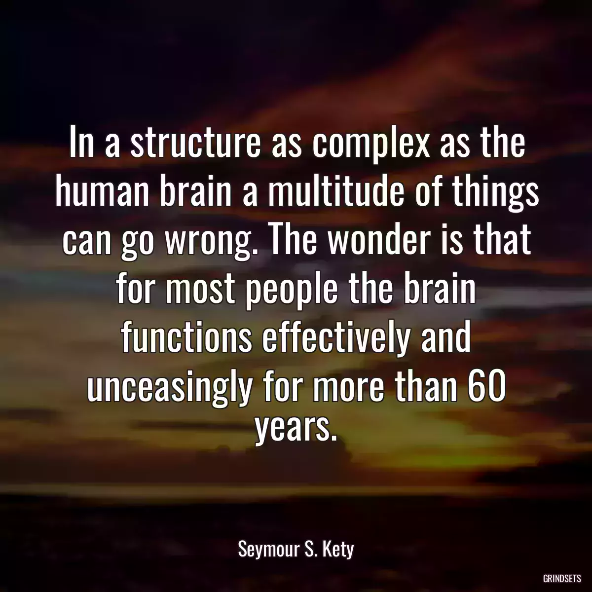 In a structure as complex as the human brain a multitude of things can go wrong. The wonder is that for most people the brain functions effectively and unceasingly for more than 60 years.