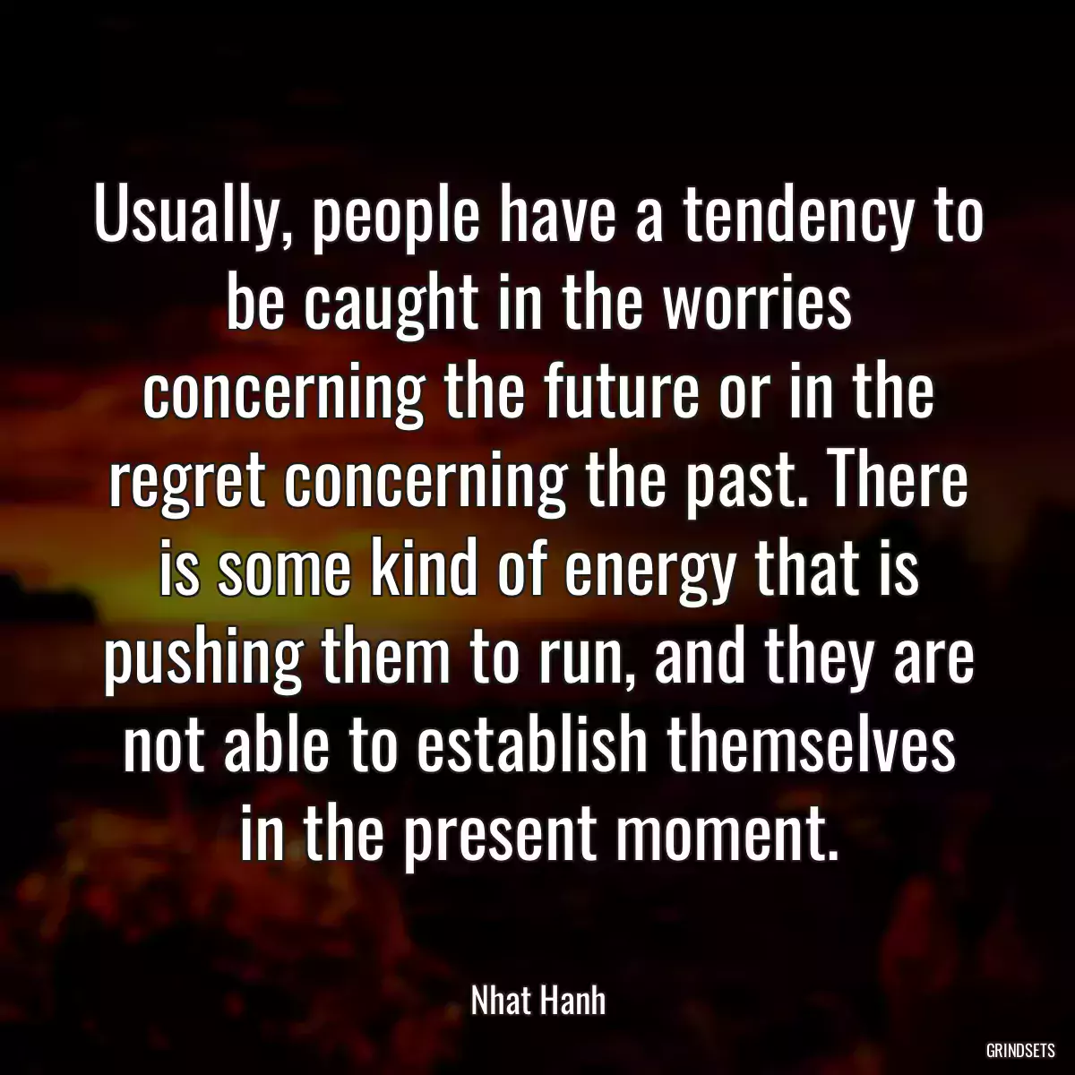 Usually, people have a tendency to be caught in the worries concerning the future or in the regret concerning the past. There is some kind of energy that is pushing them to run, and they are not able to establish themselves in the present moment.