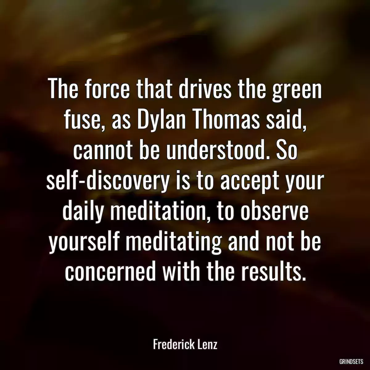 The force that drives the green fuse, as Dylan Thomas said, cannot be understood. So self-discovery is to accept your daily meditation, to observe yourself meditating and not be concerned with the results.