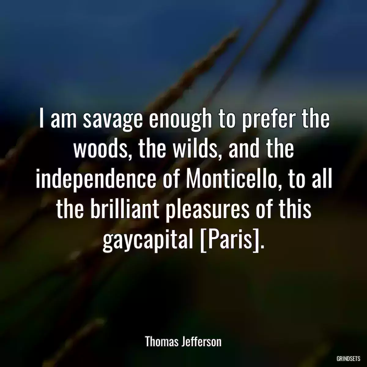 I am savage enough to prefer the woods, the wilds, and the independence of Monticello, to all the brilliant pleasures of this gaycapital [Paris].