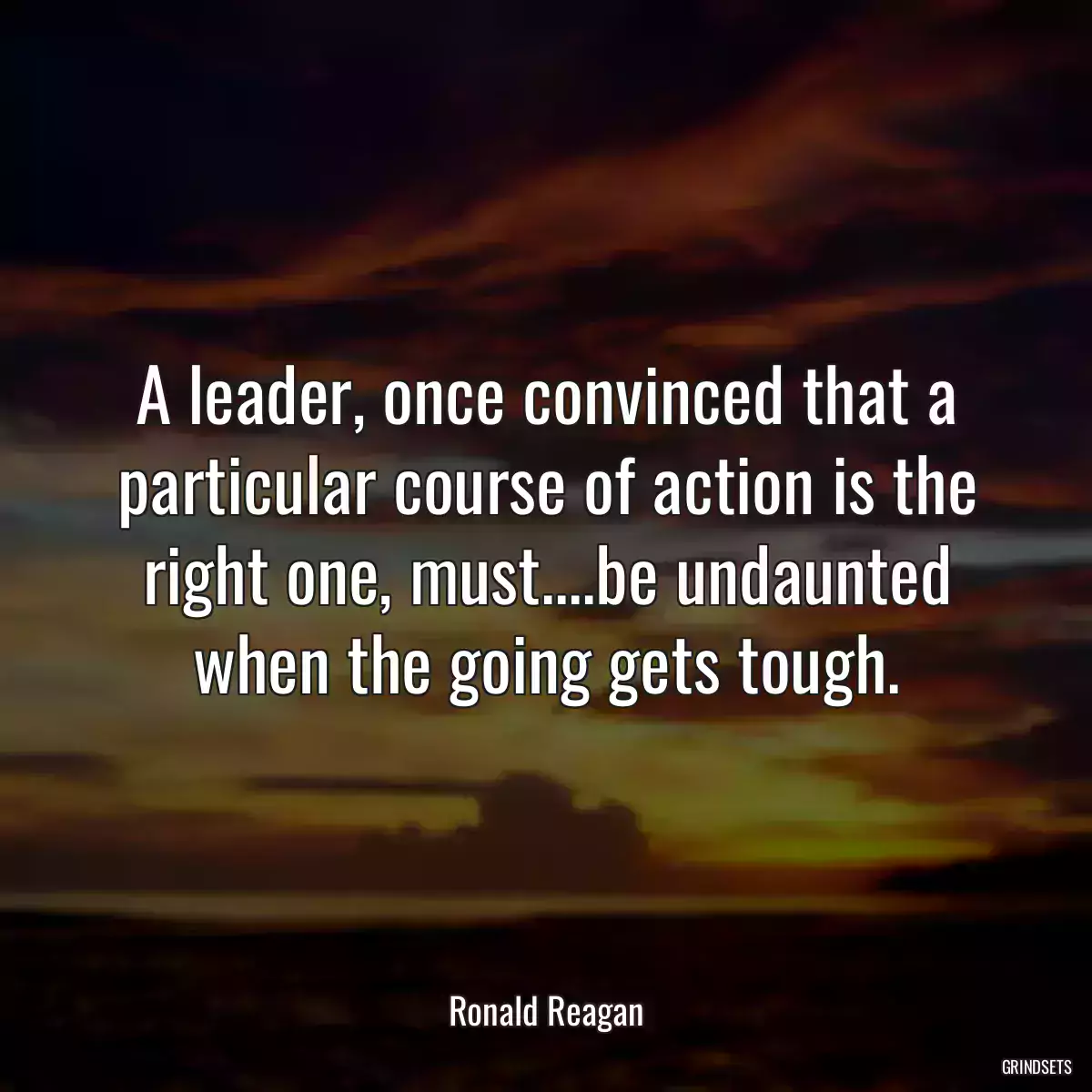 A leader, once convinced that a particular course of action is the right one, must....be undaunted when the going gets tough.