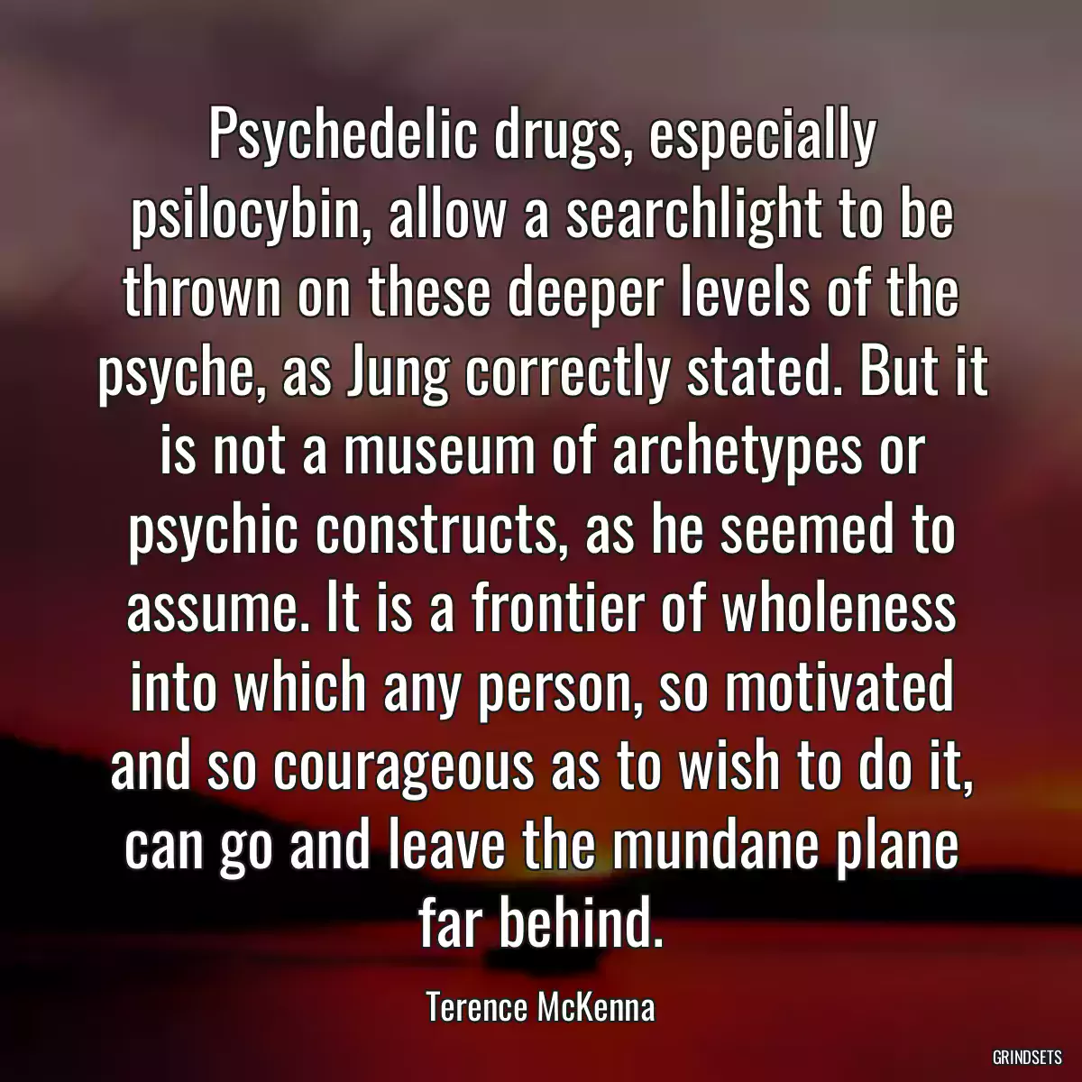 Psychedelic drugs, especially psilocybin, allow a searchlight to be thrown on these deeper levels of the psyche, as Jung correctly stated. But it is not a museum of archetypes or psychic constructs, as he seemed to assume. It is a frontier of wholeness into which any person, so motivated and so courageous as to wish to do it, can go and leave the mundane plane far behind.