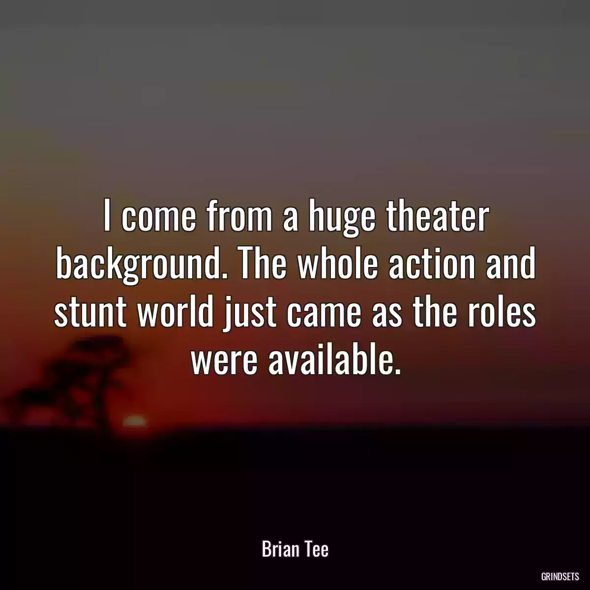 I come from a huge theater background. The whole action and stunt world just came as the roles were available.