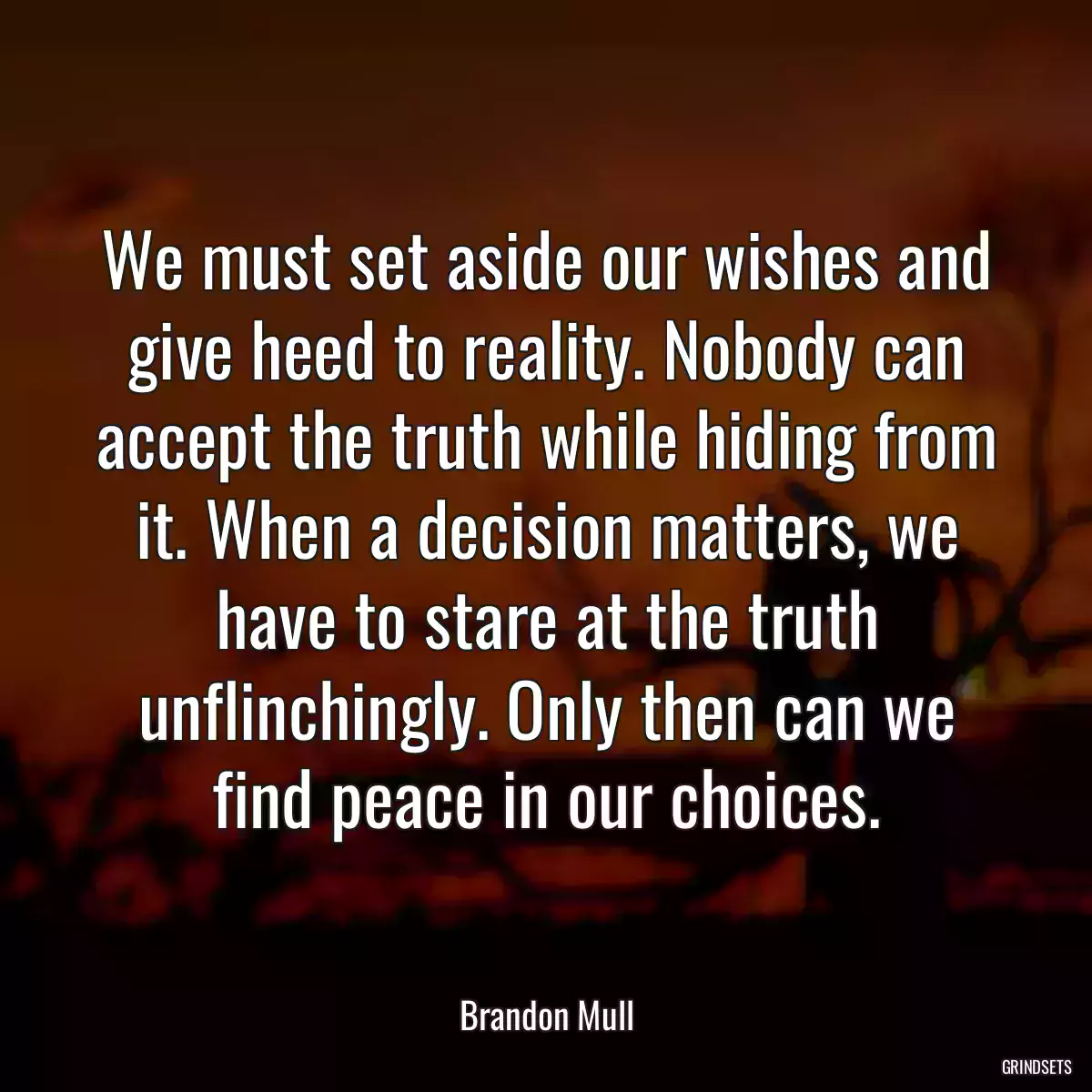 We must set aside our wishes and give heed to reality. Nobody can accept the truth while hiding from it. When a decision matters, we have to stare at the truth unflinchingly. Only then can we find peace in our choices.