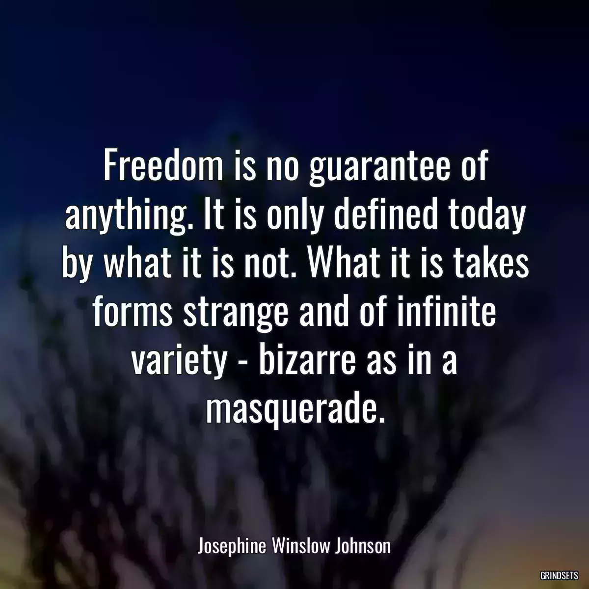 Freedom is no guarantee of anything. It is only defined today by what it is not. What it is takes forms strange and of infinite variety - bizarre as in a masquerade.