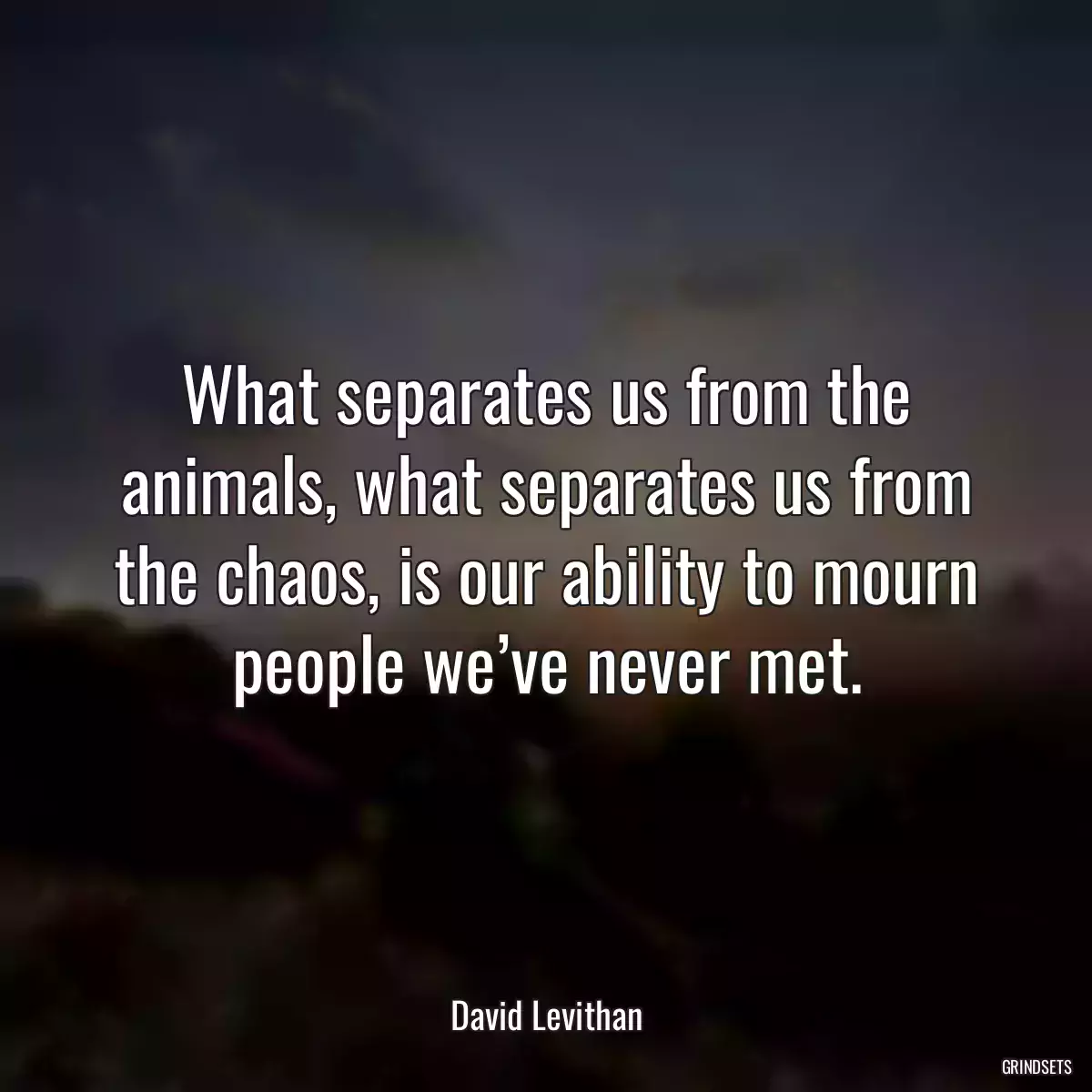 What separates us from the animals, what separates us from the chaos, is our ability to mourn people we’ve never met.