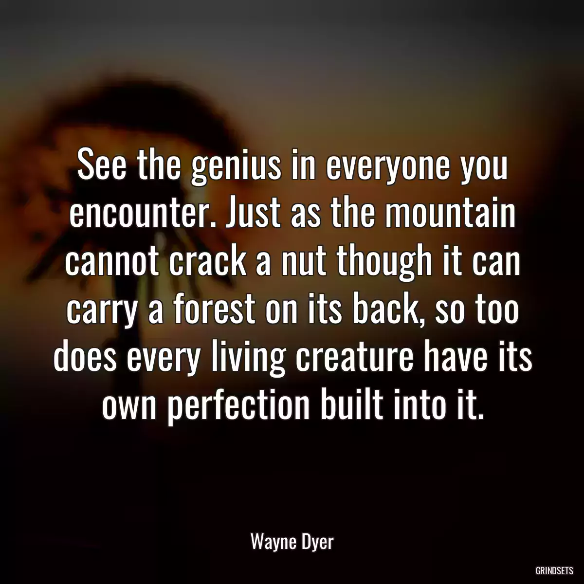 See the genius in everyone you encounter. Just as the mountain cannot crack a nut though it can carry a forest on its back, so too does every living creature have its own perfection built into it.