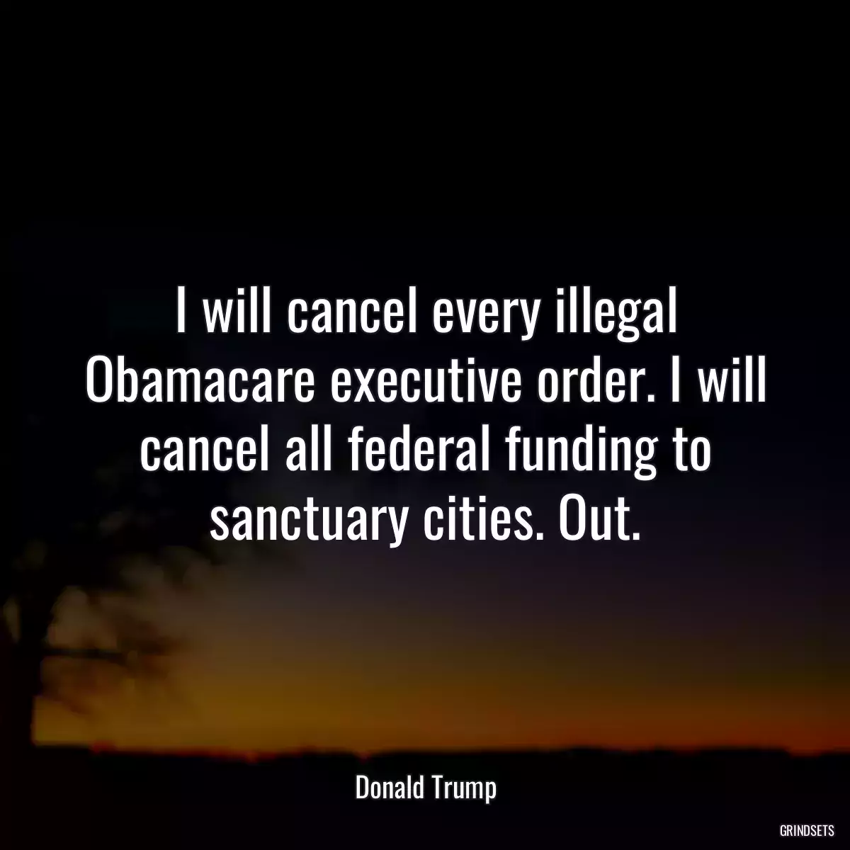 I will cancel every illegal Obamacare executive order. I will cancel all federal funding to sanctuary cities. Out.