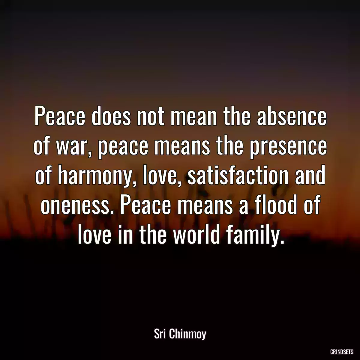Peace does not mean the absence of war, peace means the presence of harmony, love, satisfaction and oneness. Peace means a flood of love in the world family.