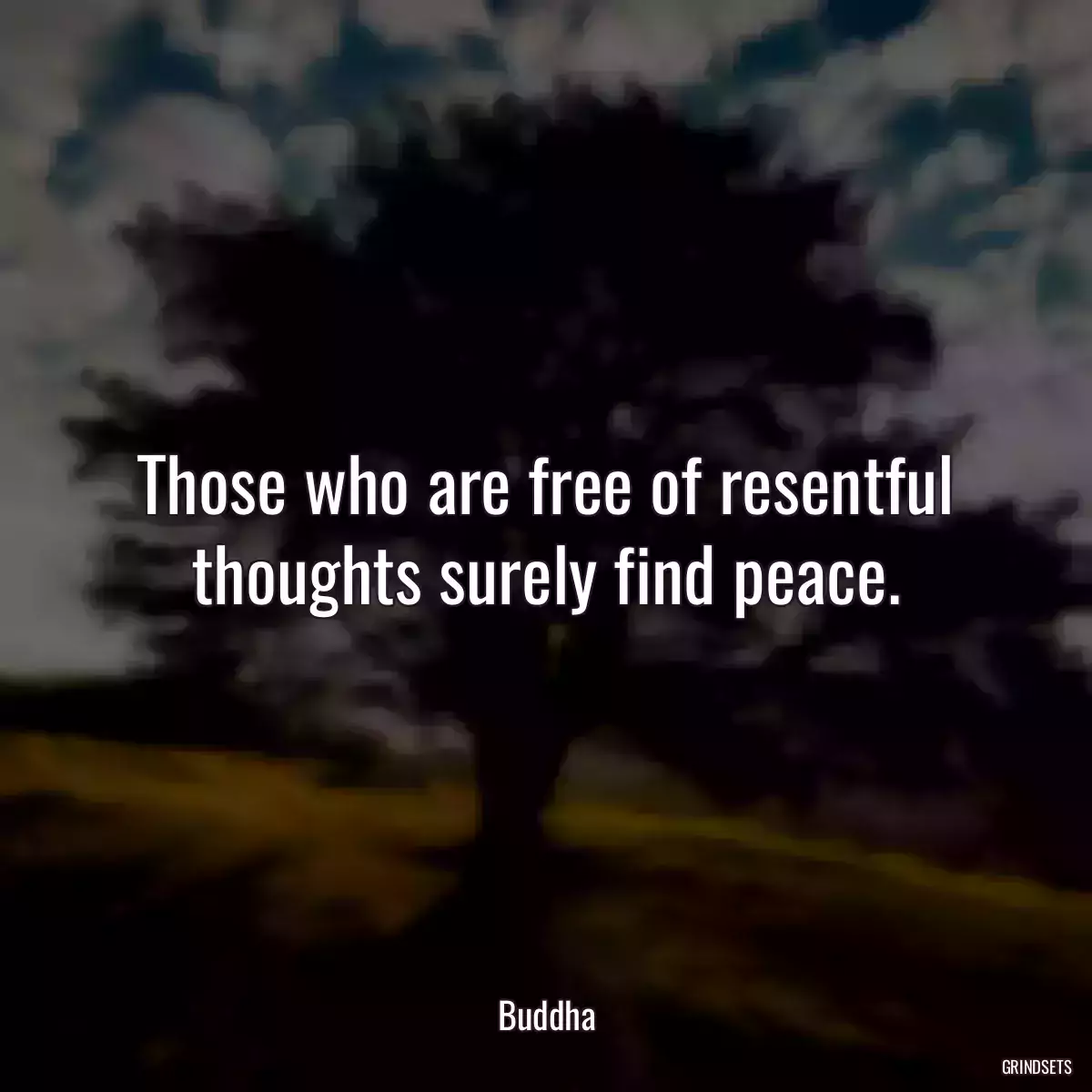 Those who are free of resentful thoughts surely find peace.