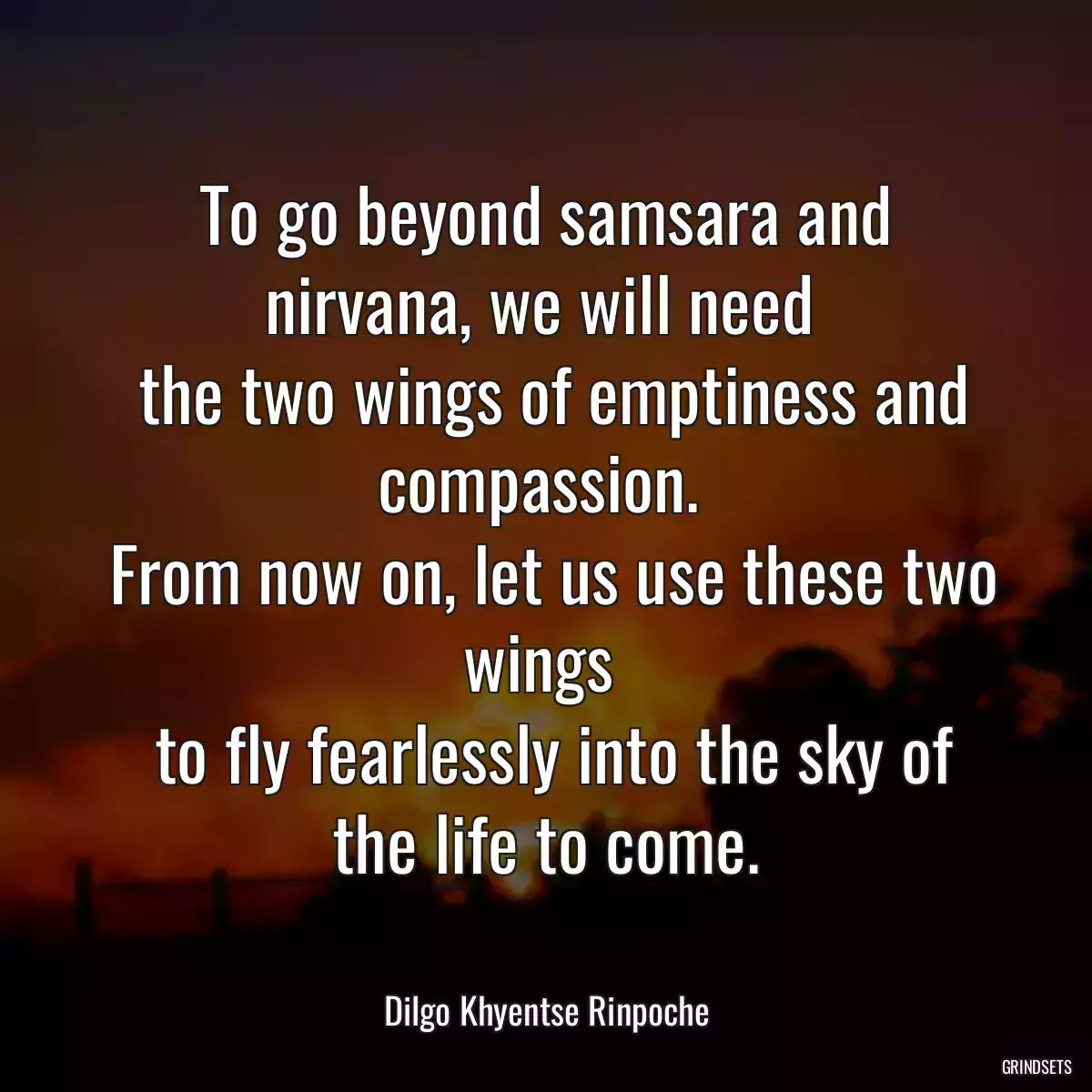 To go beyond samsara and nirvana, we will need 
 the two wings of emptiness and compassion. 
 From now on, let us use these two wings 
 to fly fearlessly into the sky of the life to come.