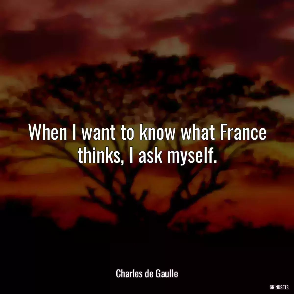 When I want to know what France thinks, I ask myself.