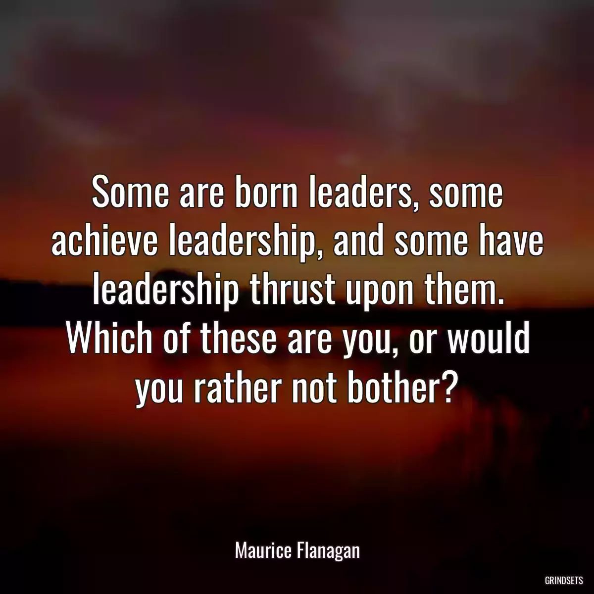 Some are born leaders, some achieve leadership, and some have leadership thrust upon them. Which of these are you, or would you rather not bother?