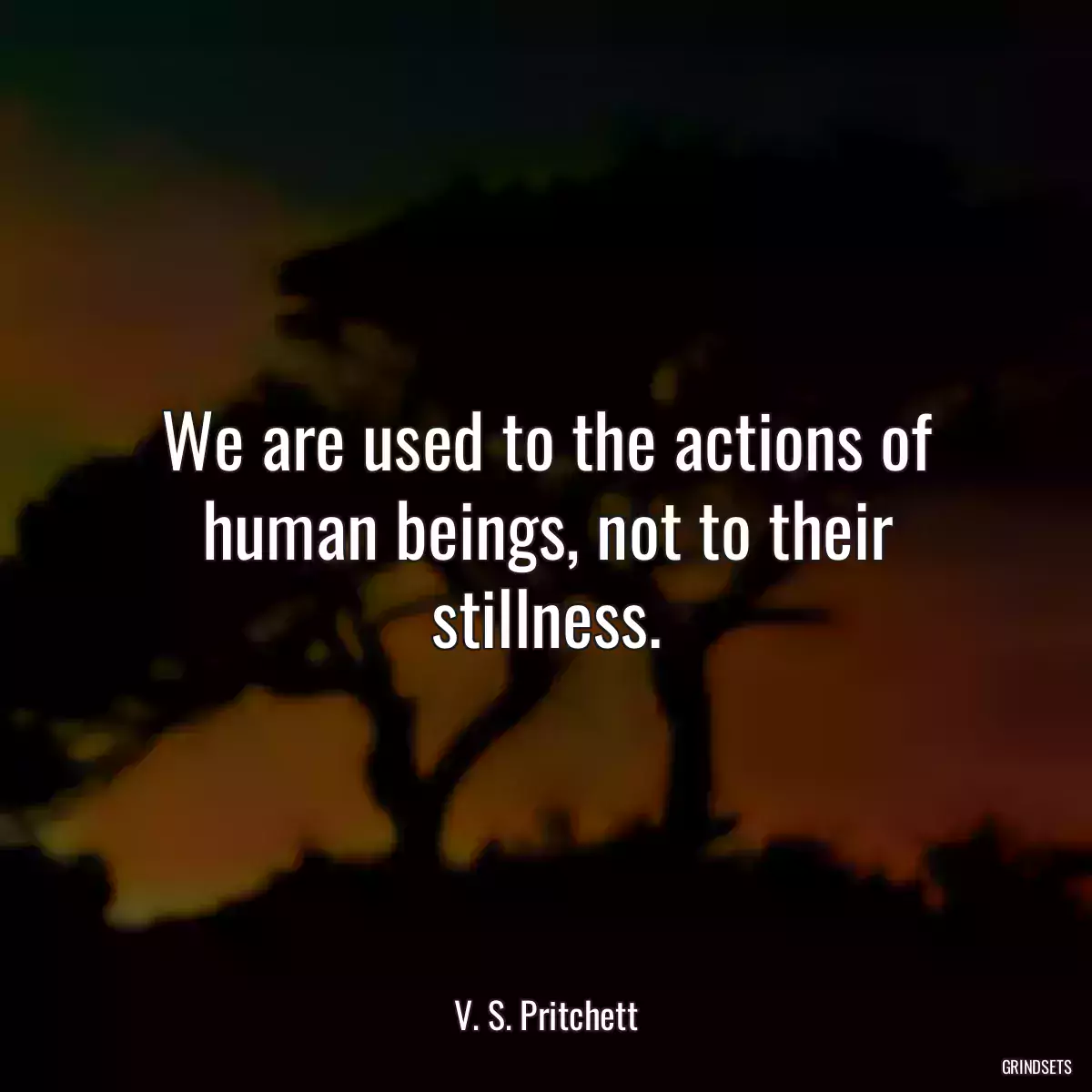 We are used to the actions of human beings, not to their stillness.