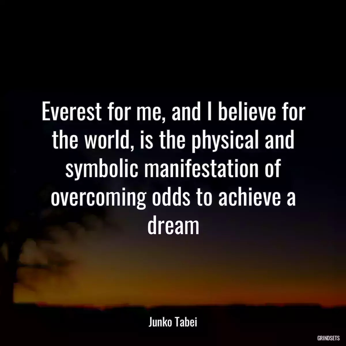 Everest for me, and I believe for the world, is the physical and symbolic manifestation of overcoming odds to achieve a dream