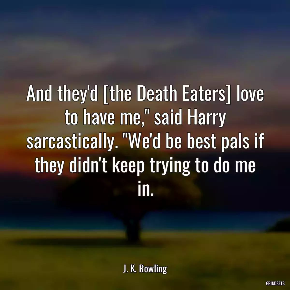 And they\'d [the Death Eaters] love to have me,\