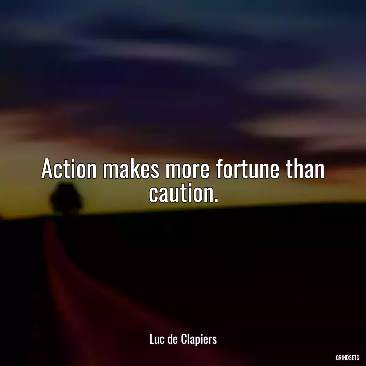 Action makes more fortune than caution.