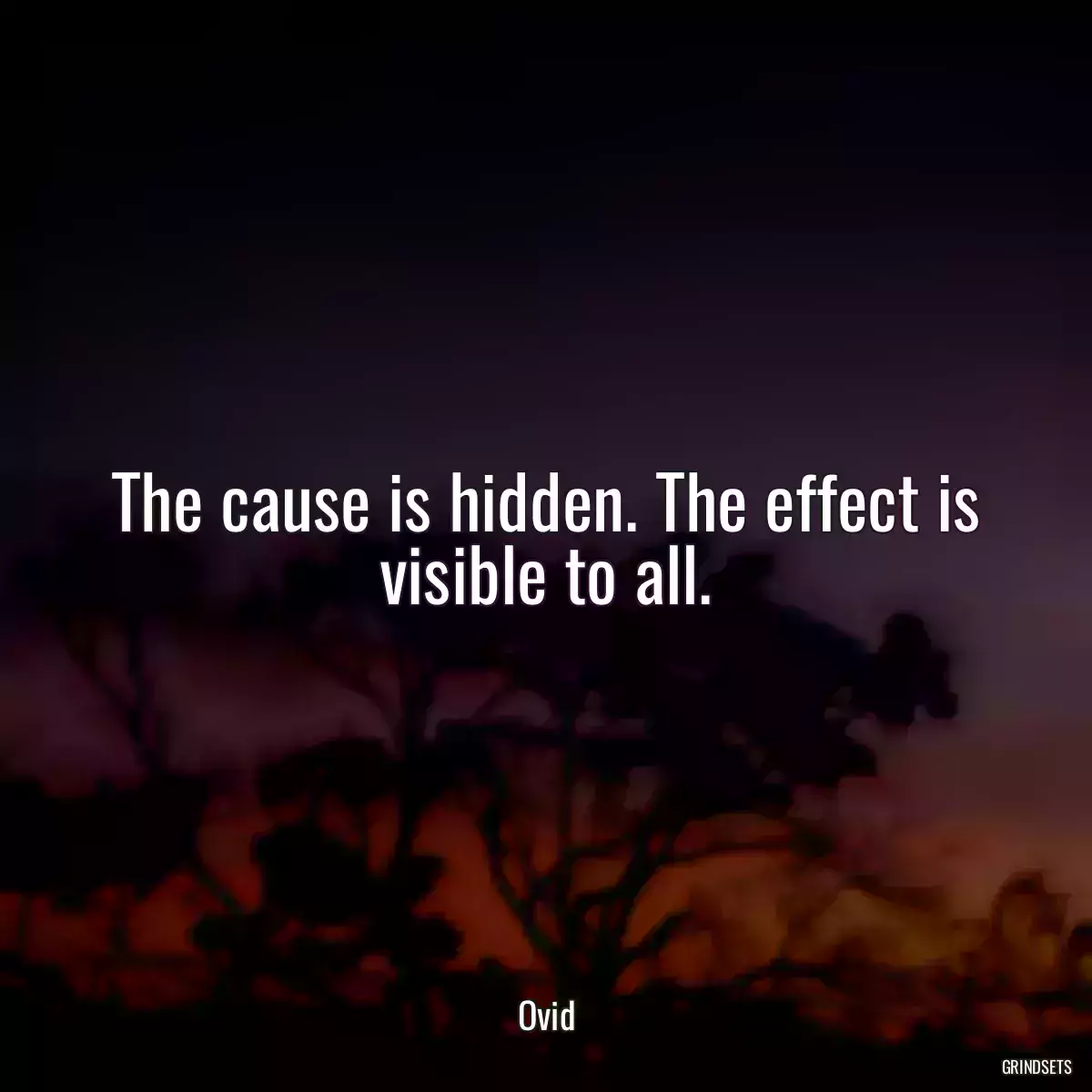 The cause is hidden. The effect is visible to all.