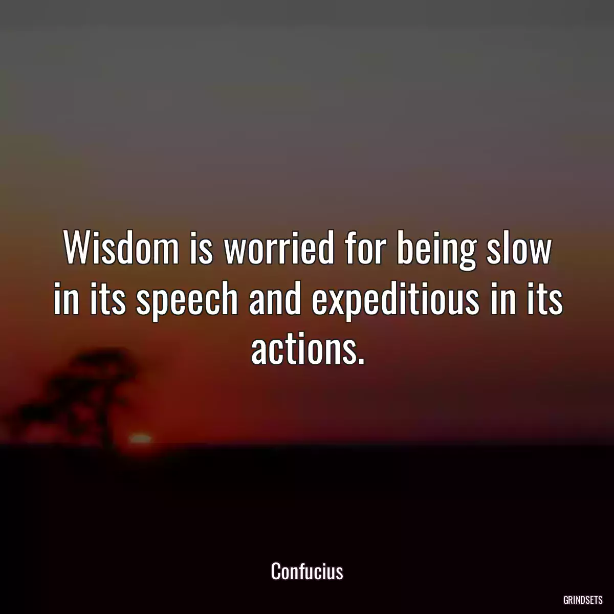 Wisdom is worried for being slow in its speech and expeditious in its actions.