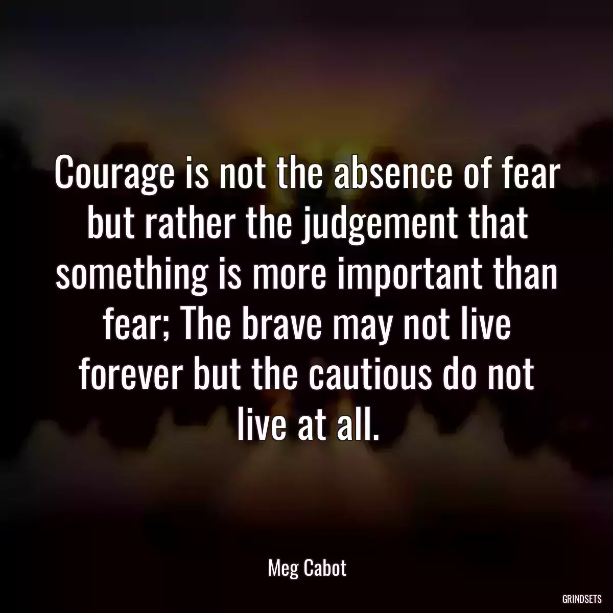 Courage is not the absence of fear but rather the judgement that something is more important than fear; The brave may not live forever but the cautious do not live at all.