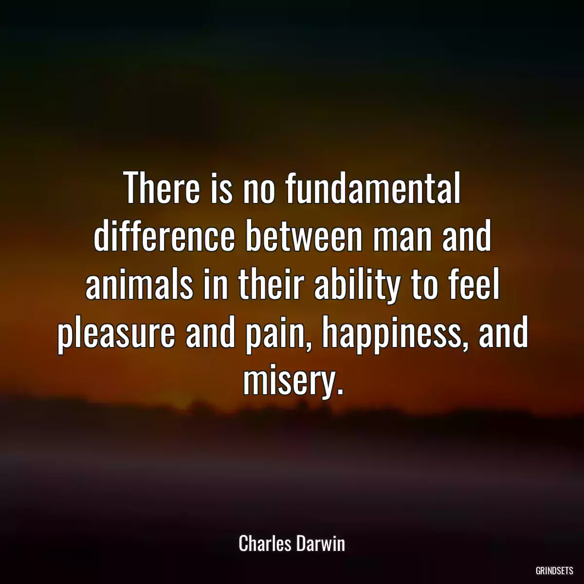 There is no fundamental difference between man and animals in their ability to feel pleasure and pain, happiness, and misery.