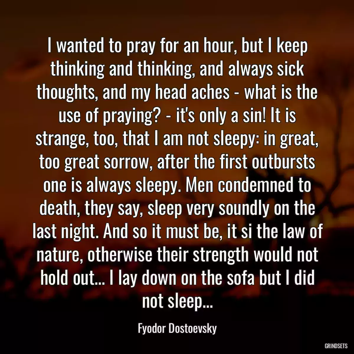 I wanted to pray for an hour, but I keep thinking and thinking, and always sick thoughts, and my head aches - what is the use of praying? - it\'s only a sin! It is strange, too, that I am not sleepy: in great, too great sorrow, after the first outbursts one is always sleepy. Men condemned to death, they say, sleep very soundly on the last night. And so it must be, it si the law of nature, otherwise their strength would not hold out... I lay down on the sofa but I did not sleep...