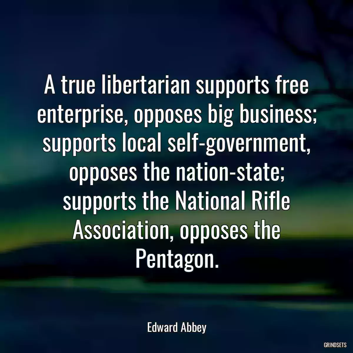 A true libertarian supports free enterprise, opposes big business; supports local self-government, opposes the nation-state; supports the National Rifle Association, opposes the Pentagon.