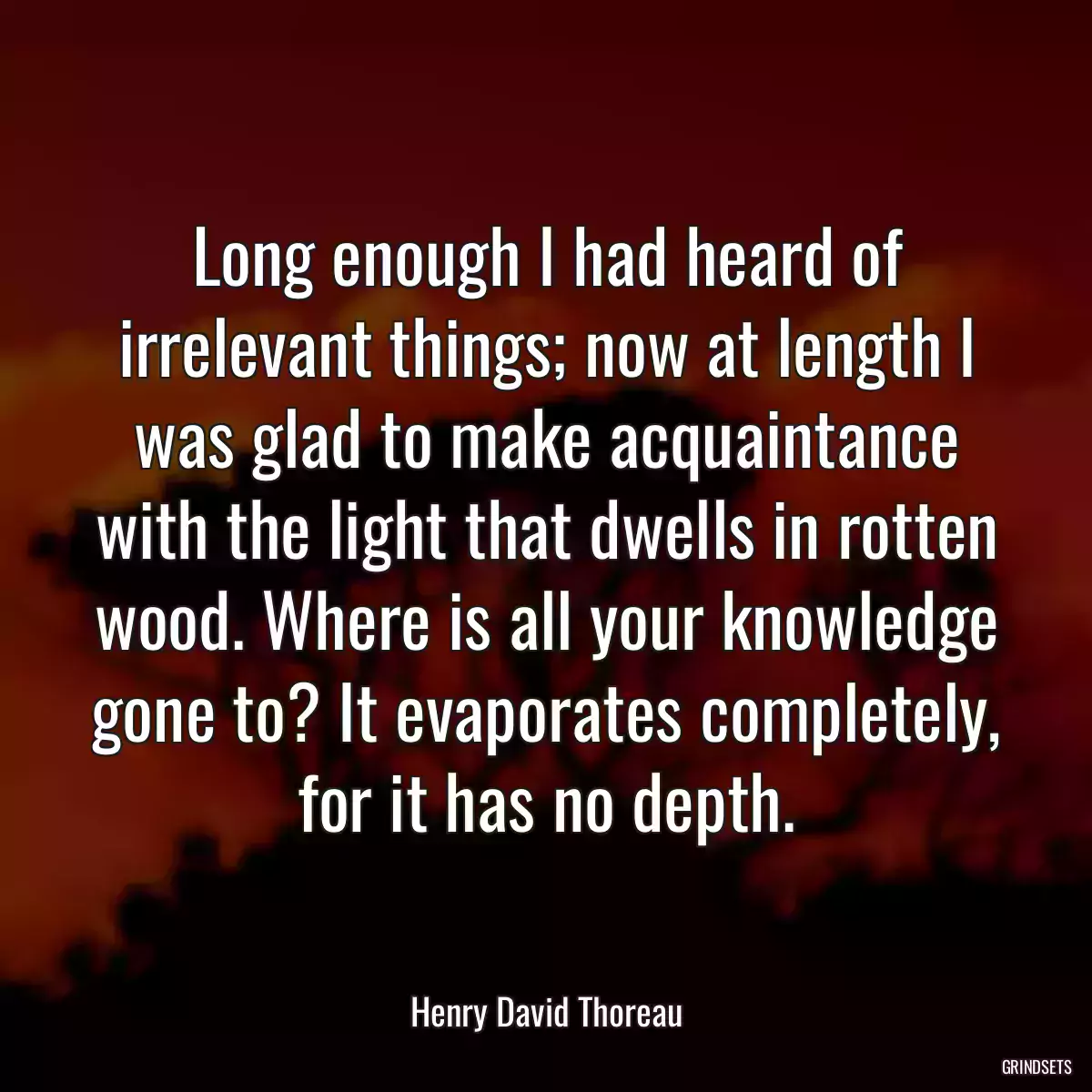 Long enough I had heard of irrelevant things; now at length I was glad to make acquaintance with the light that dwells in rotten wood. Where is all your knowledge gone to? It evaporates completely, for it has no depth.