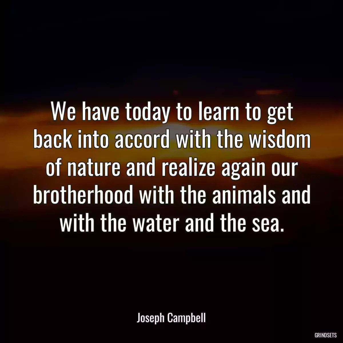 We have today to learn to get back into accord with the wisdom of nature and realize again our brotherhood with the animals and with the water and the sea.