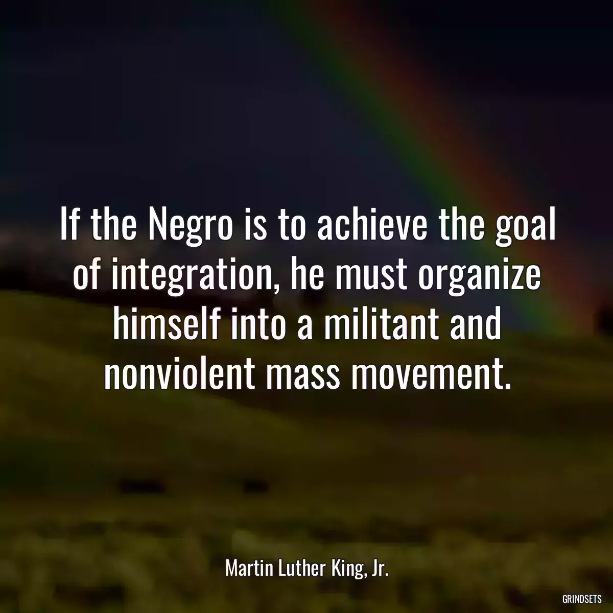 If the Negro is to achieve the goal of integration, he must organize himself into a militant and nonviolent mass movement.