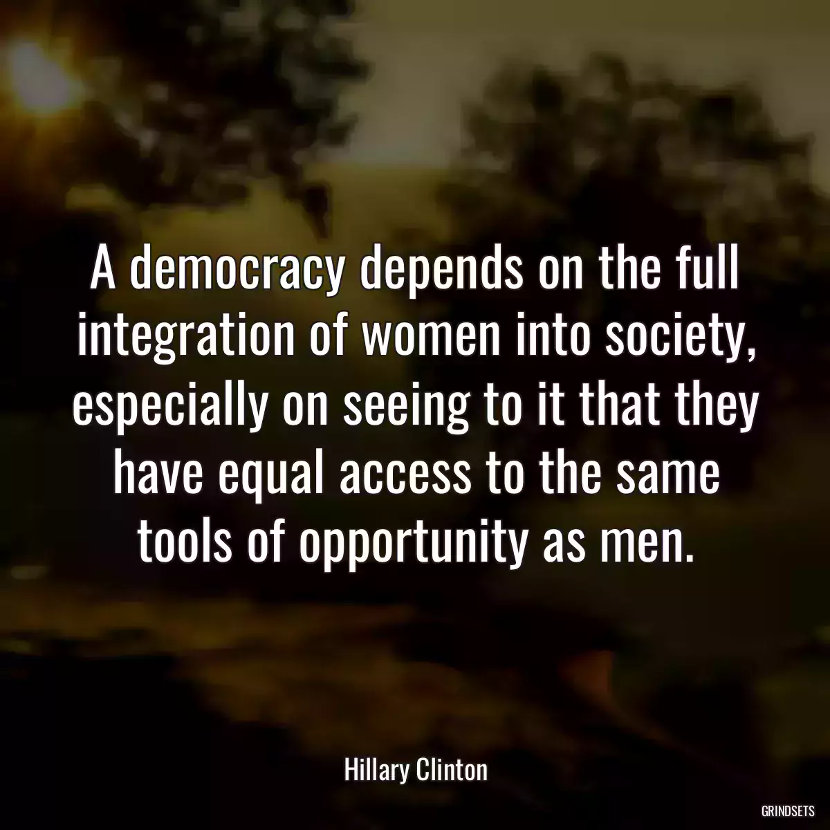 A democracy depends on the full integration of women into society, especially on seeing to it that they have equal access to the same tools of opportunity as men.