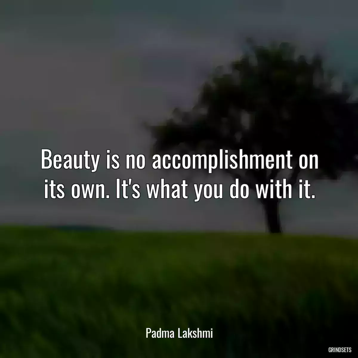 Beauty is no accomplishment on its own. It\'s what you do with it.