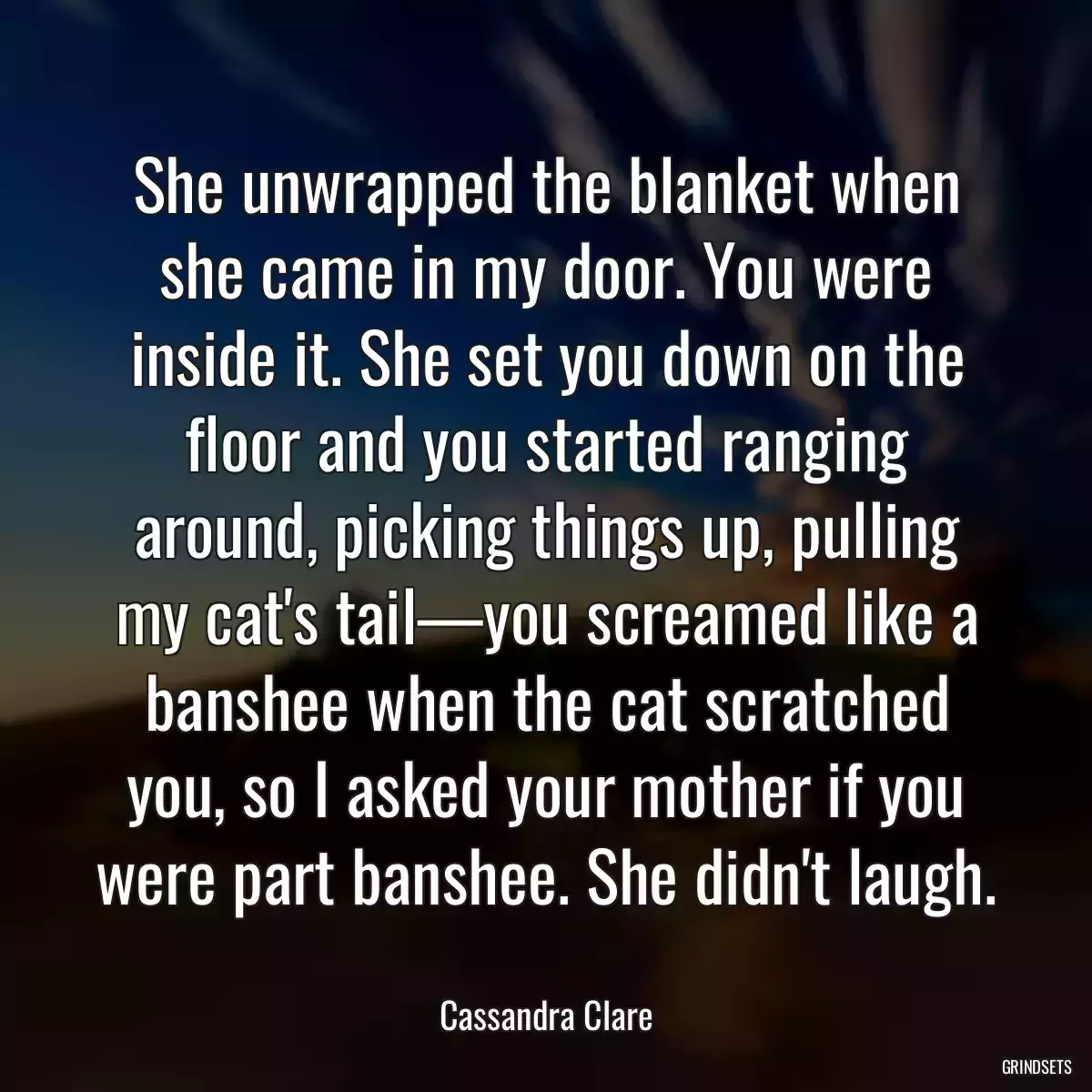 She unwrapped the blanket when she came in my door. You were inside it. She set you down on the floor and you started ranging around, picking things up, pulling my cat\'s tail—you screamed like a banshee when the cat scratched you, so I asked your mother if you were part banshee. She didn\'t laugh.