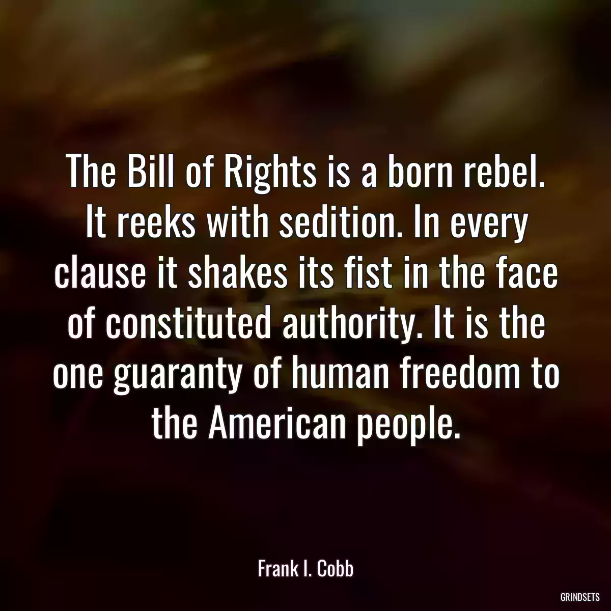 The Bill of Rights is a born rebel. It reeks with sedition. In every clause it shakes its fist in the face of constituted authority. It is the one guaranty of human freedom to the American people.