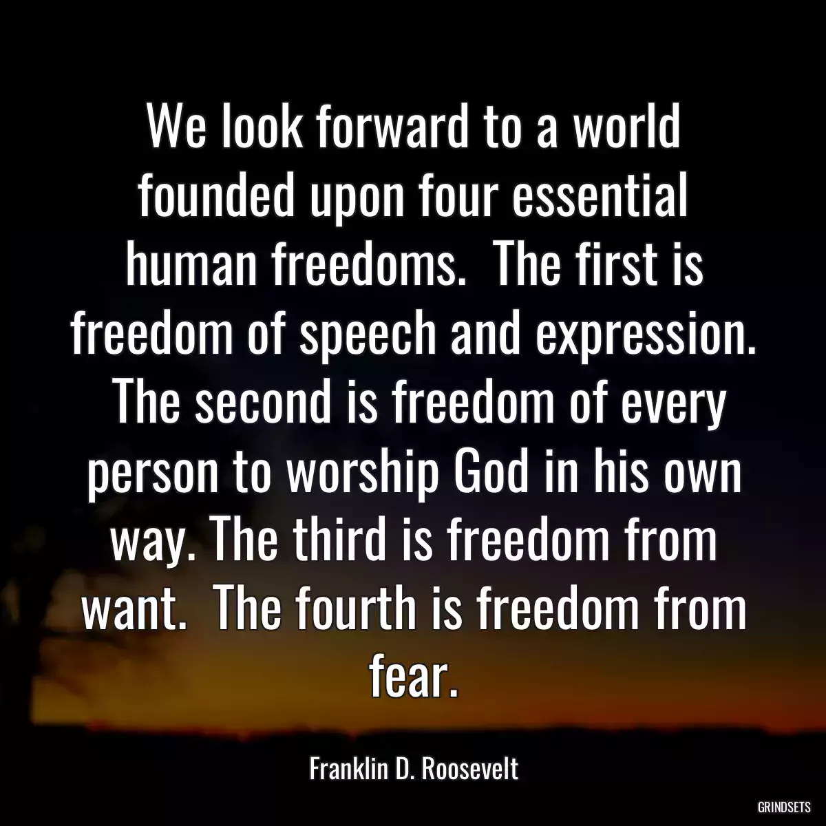 We look forward to a world founded upon four essential human freedoms.  The first is freedom of speech and expression.  The second is freedom of every person to worship God in his own way. The third is freedom from want.  The fourth is freedom from fear.