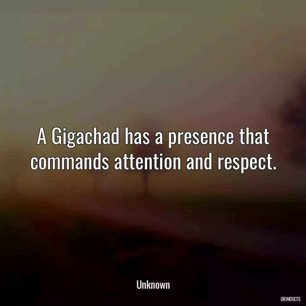 A Gigachad has a presence that commands attention and respect.