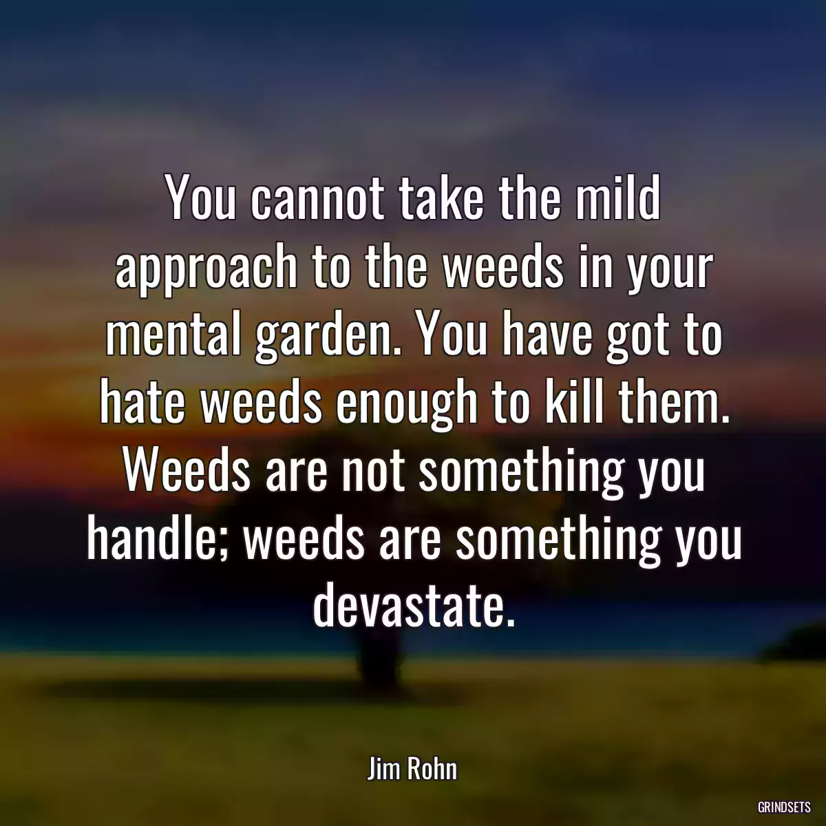 You cannot take the mild approach to the weeds in your mental garden. You have got to hate weeds enough to kill them. Weeds are not something you handle; weeds are something you devastate.