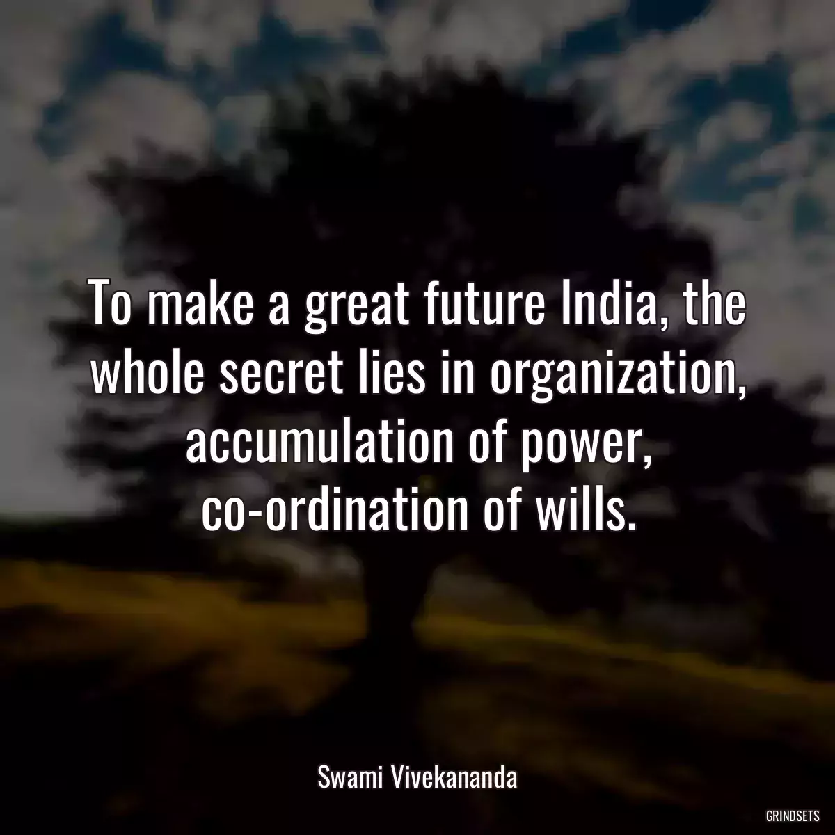 To make a great future India, the whole secret lies in organization, accumulation of power, co-ordination of wills.