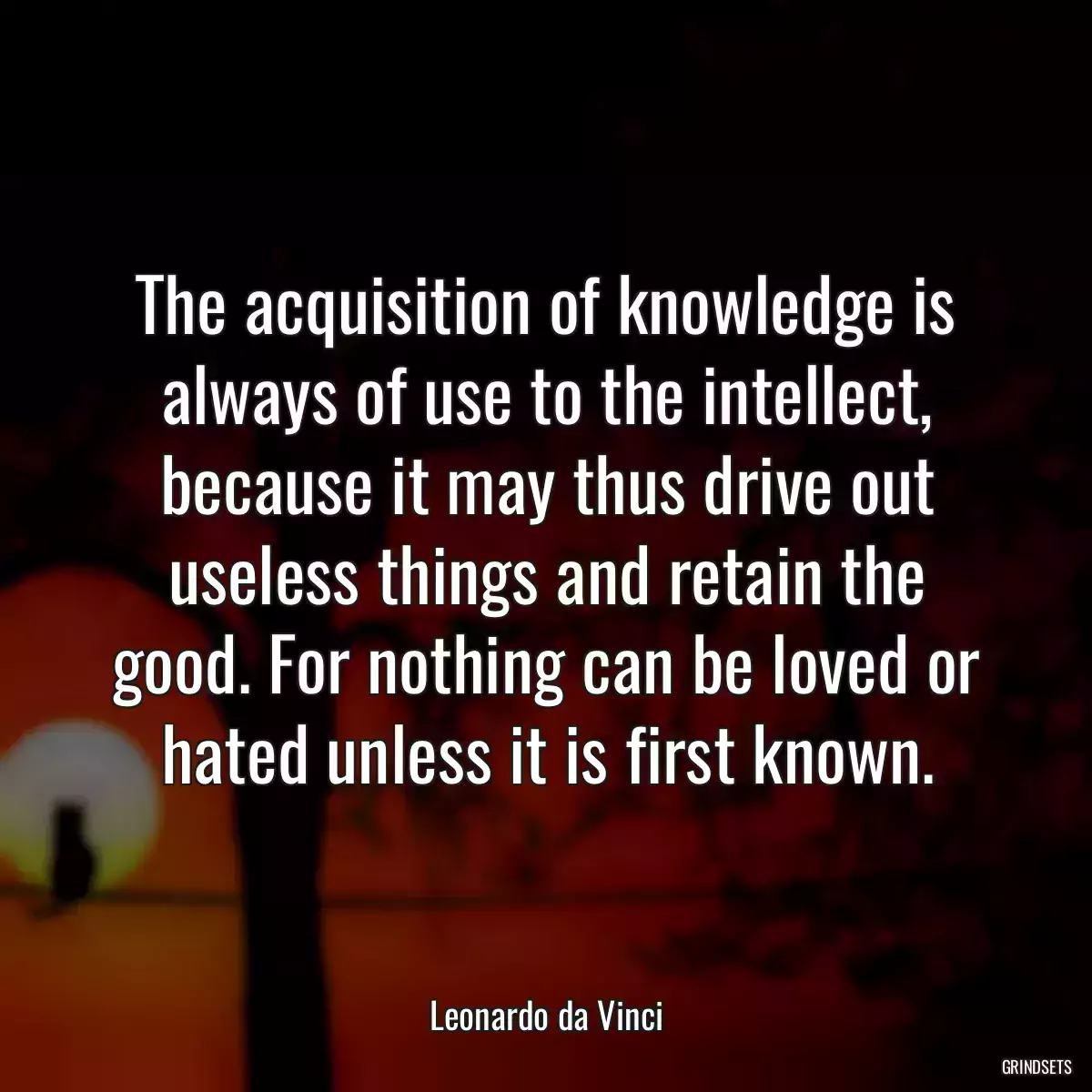 The acquisition of knowledge is always of use to the intellect, because it may thus drive out useless things and retain the good. For nothing can be loved or hated unless it is first known.