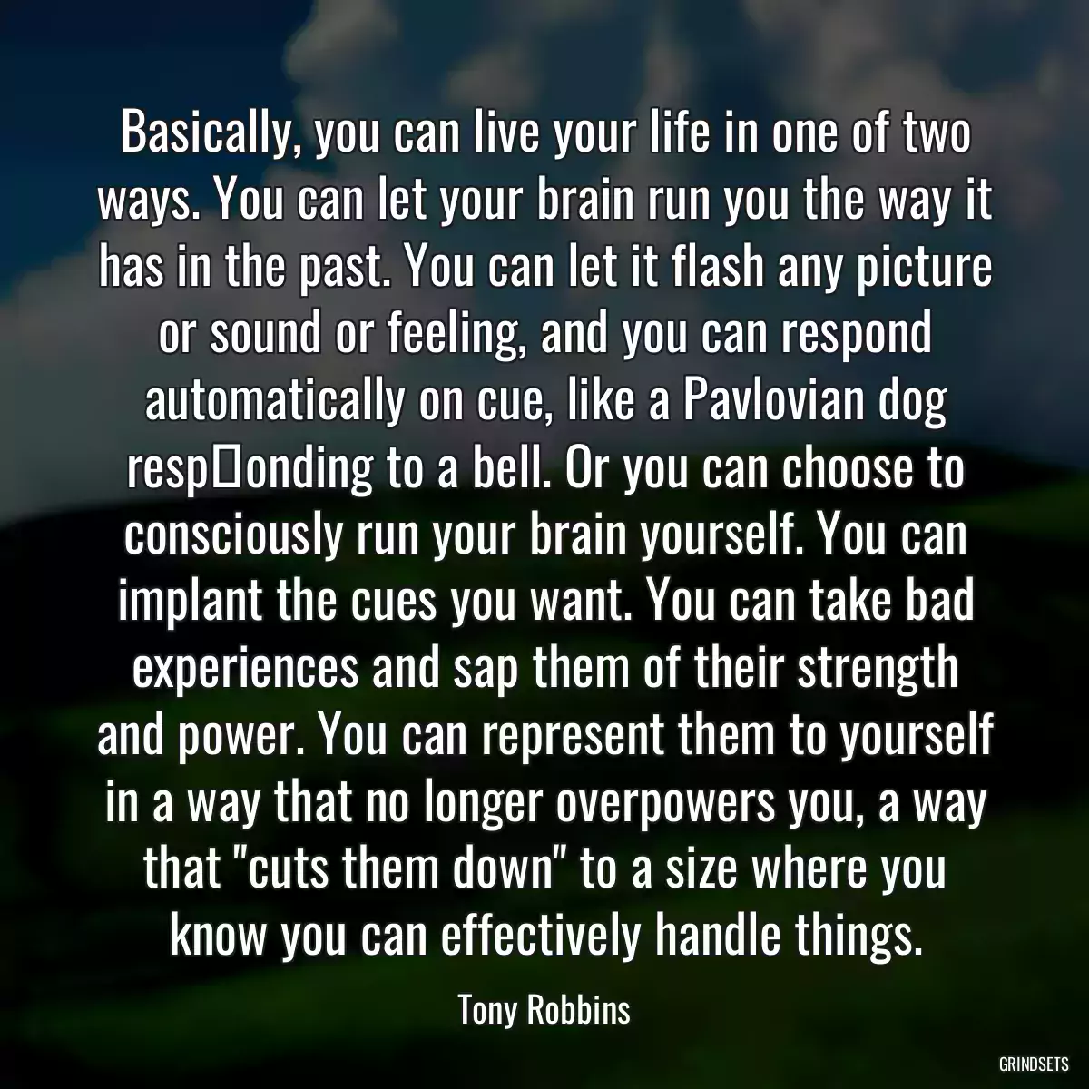 Basically, you can live your life in one of two ways. You can let your brain run you the way it has in the past. You can let it flash any picture or sound or feeling, and you can respond automatically on cue, like a Pavlovian dog resp‎onding to a bell. Or you can choose to consciously run your brain yourself. You can implant the cues you want. You can take bad experiences and sap them of their strength and power. You can represent them to yourself in a way that no longer overpowers you, a way that \