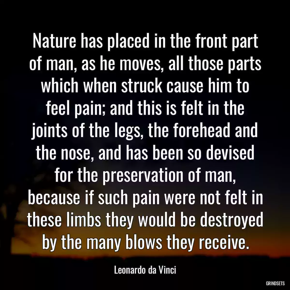 Nature has placed in the front part of man, as he moves, all those parts which when struck cause him to feel pain; and this is felt in the joints of the legs, the forehead and the nose, and has been so devised for the preservation of man, because if such pain were not felt in these limbs they would be destroyed by the many blows they receive.