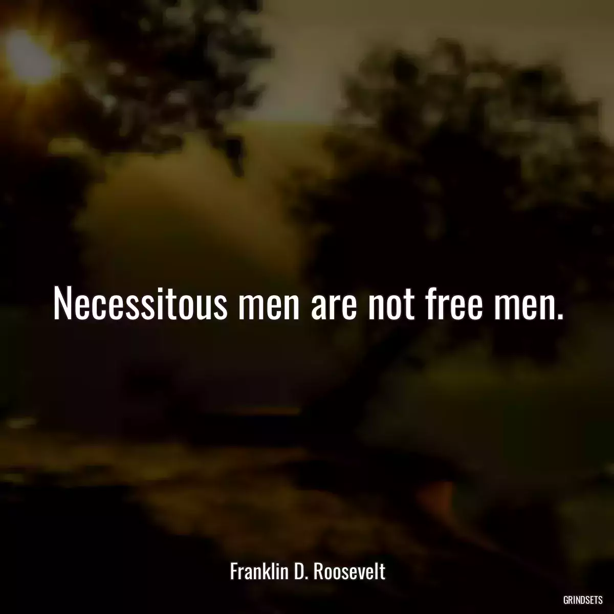 Necessitous men are not free men.