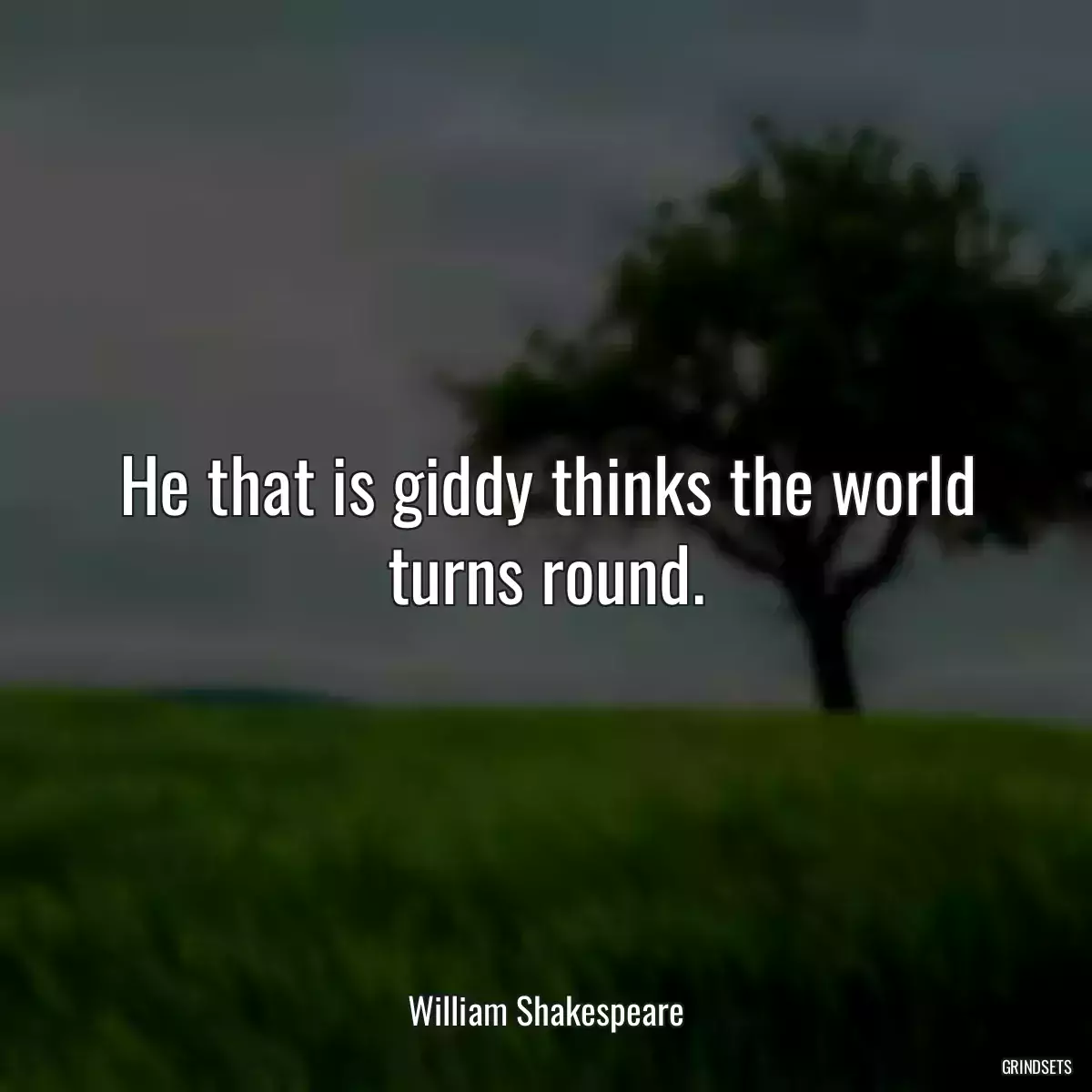 He that is giddy thinks the world turns round.